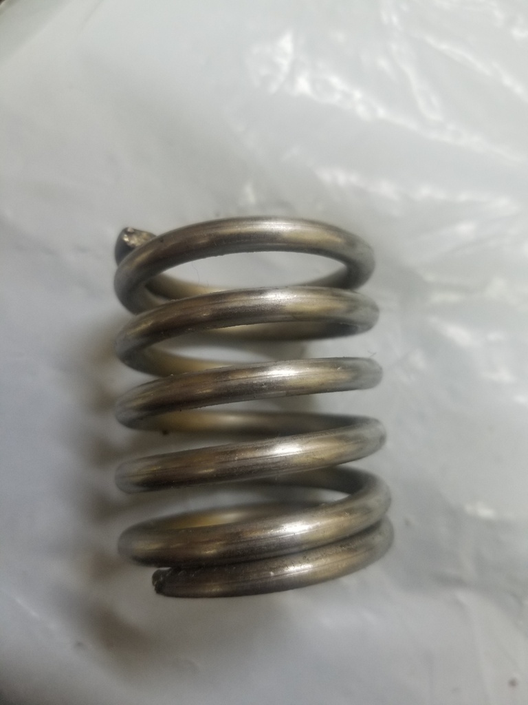 Cabsola Check Valve Spring