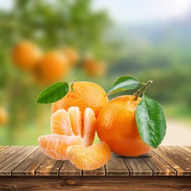 Tangerine Clementina 